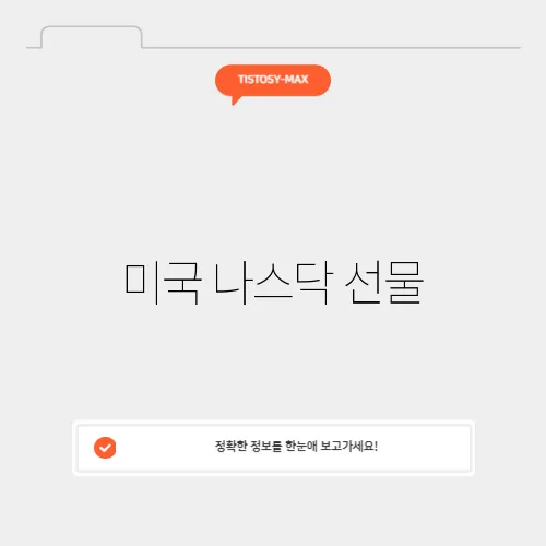 미국 나스닥 선물