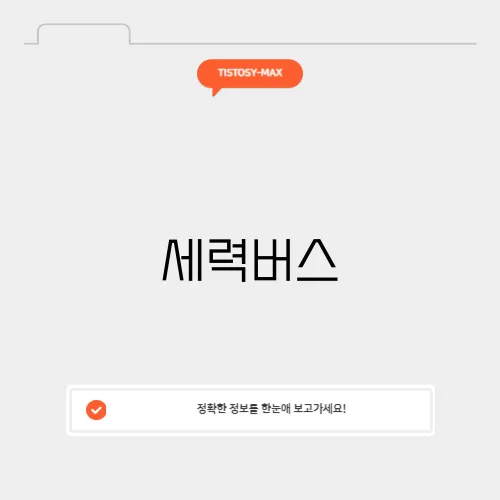세력버스